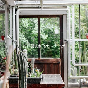 花に囲まれたセレナーデ - Cafe de Musica Instrumental