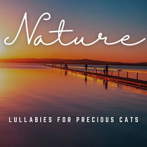 Cat Nap Dreams: Lullabies for Precious Cats - Cat Music Studio
