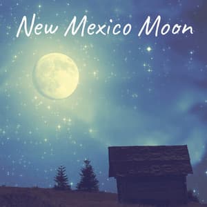 New Mexico Moon - Serenity of Sound