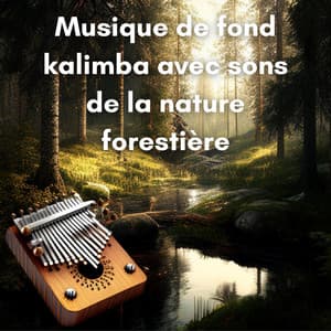 Musique de fond kalimba avec sons de la nature forestière - New Age Musique Zen