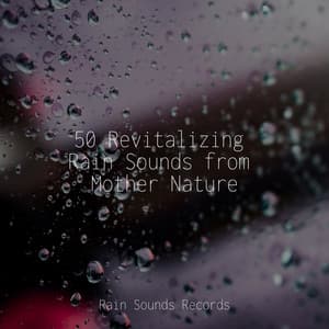 50 Revitalizing Rain Sounds from Mother Nature - Sleepy Night Music