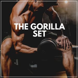 The Gorilla Set - Work Out Music