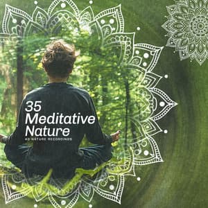 35 Meditative Nature - 4D Nature Recordings