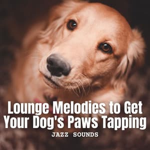 Jazz Sounds: Lounge Melodies to Get Your Dog's Paws Tapping - Smooth Jazz Deluxe