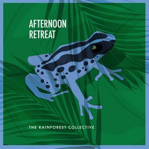 Afternoon Retreat - The Rainforest Collective