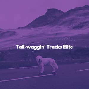 Tail-waggin' Tracks Elite - Cool Cats 1940s Jazz