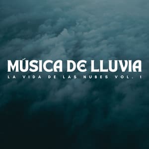 Música De Lluvia: La Vida De Las Nubes Vol. 1 - 101 Naturaleza