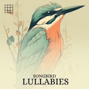 #01 Songbird Lullabies - Forest Sounds