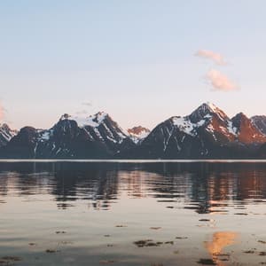 Nature Yoga - Uyku Müzik