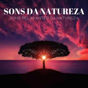 Sons Da Natureza: Sons Relaxantes Da Natureza - Calma