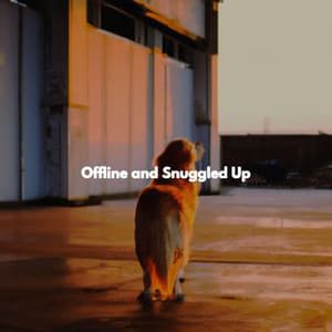 Offline and Snuggled Up - Good Mood Jazz