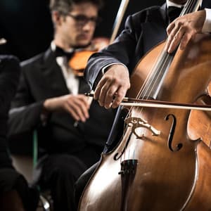 Orchestra for Deep Sleep: Tranquil Sounds - Charles Anderson