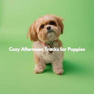 Cozy Afternoon Tracks for Puppies - Bebop Jazz