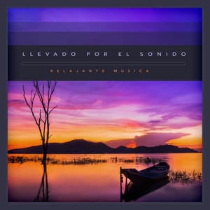 Llevado por el sonido - Relajante Musica