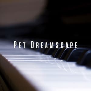 Pet Dreamscape: Comforting Meditative Piano - Relaxing Piano Music Classic