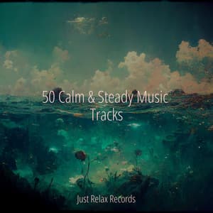 50 Calm & Steady Music Tracks - Nature Sounds Nature Music
