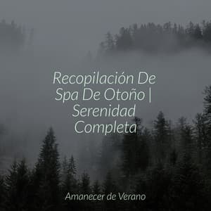 Recopilación De Spa De Otoño | Serenidad Completa - Relaxing Mindfulness Meditation Relaxation Maestro