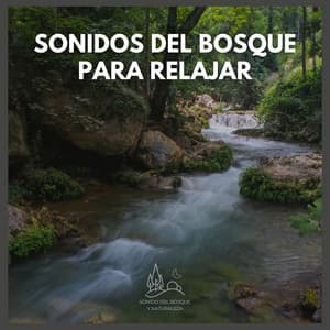 Sonidos del Bosque para Relajar - Sonido Del Bosque y Naturaleza