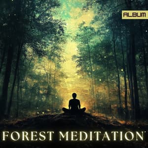Forest Meditation: Ambient Calming Meditation Music for Deep Reflection and Relaxation - Meditation Music for the Soul