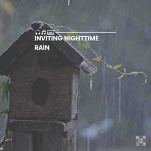 Inviting Nighttime Rain - The Nature Soundscapes
