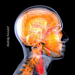 Brain Lateralization - Johny Brainy