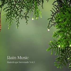 Rain Music: Raindrops Serenade Vol. 1 - Calm Music Guru
