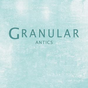 Antics - Granular