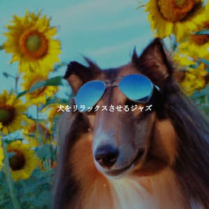 犬をリラックスさせるジャズ - Reading Background Music Playlist
