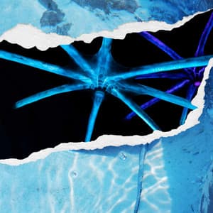 Fantastic Ambiance for Seasonal Feelings - Musica para Leer Playlist