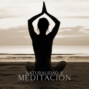 Naturalidad y Quietud mental - Sean Evenett