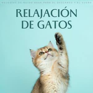 Relajación De Gatos: Melodías De Ruido Rosa Para El Descanso Y El Sueño - Tiempo Discreto