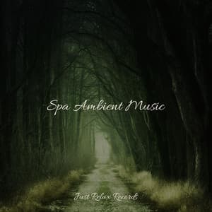 Spa Ambient Music - Study Hard