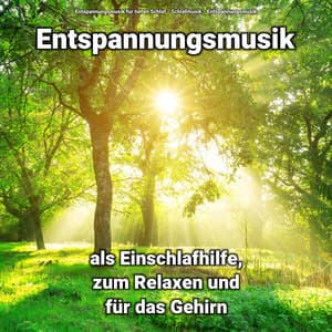 ! ! ! ! ! Entspannungsmusik als Einschlafhilfe, zum Relaxen und für das Gehirn - Entspannungsmusik für tiefen Schlaf