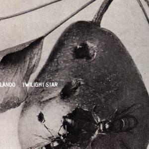 Twilight Star - Orlando