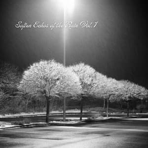 Soften Echos of the Rain Vol. 1 - Relaxing music therapy