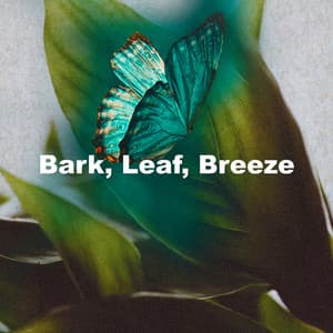 Bark, Leaf, Breeze - Epic Soundscapes