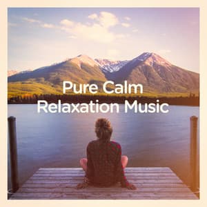 Pure calm relaxation music - Soothing Music for Sleep Academy