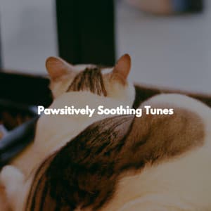 Pawsitively Soothing Tunes - Atmospheric Coffeehouse Society