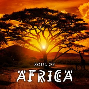 Soul of Africa: Spiritual Drumming and Relaxing African Music for Meditation to Focus on True Selfhood and Connection with the Earth - African Sound Therapy Masters