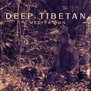 Deep Tibetan Meditation - A Journey Inside the Soul - Experimental New Age Musician