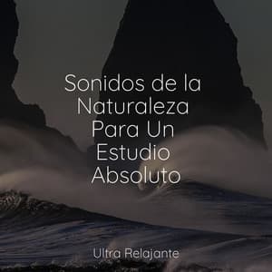 Sonidos de la Naturaleza Para Un Estudio Absoluto - Música Para Dormir Inspirada En El Espacio