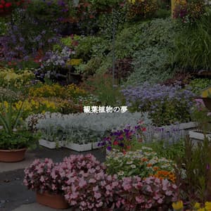 観葉植物の夢 - Relaxed Bossa Ambiance