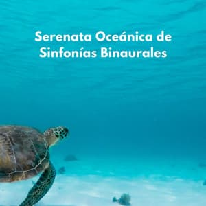 Serenata Oceánica De Sinfonías Binaurales - NatuREM