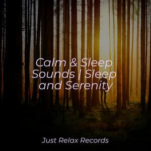 Calm & Sleep Sounds | Sleep and Serenity - Smart Baby Lullaby