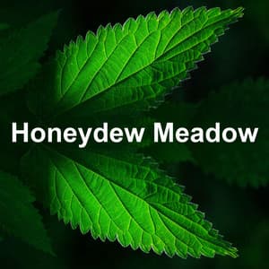 Honeydew Meadow - Mother Nature Recordings