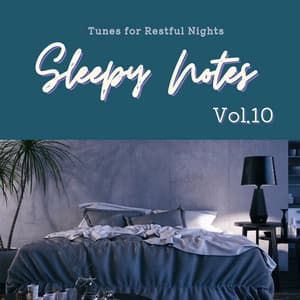 Sleepy Notes: Tunes for Restful Nights Vol.10 - Hugo Focus