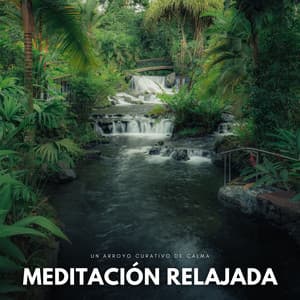 Meditación Relajada: Un Arroyo Curativo De Calma - Arroyos y niebla