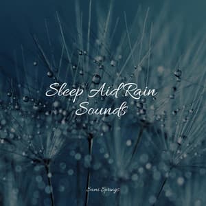 Sleep Aid Rain Sounds - Relaxing Nature Music