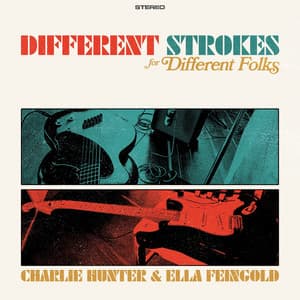 Different Strokes for Different Folks - Charlie Hunter