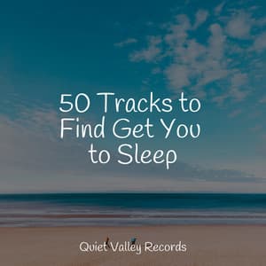 50 Tracks to Find Get You to Sleep - Fabricantes De Lluvia